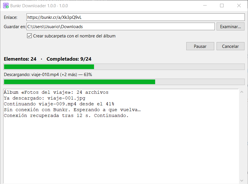 Bunkr Downloader